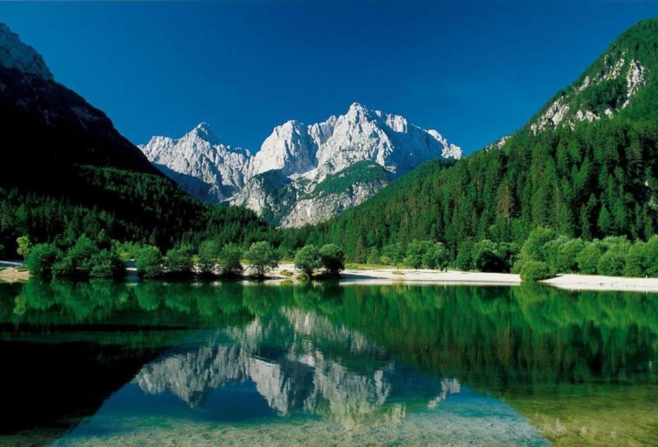 Apartmaji "La Vie Est Belle" Kranjska Gora Eksteriør bilde